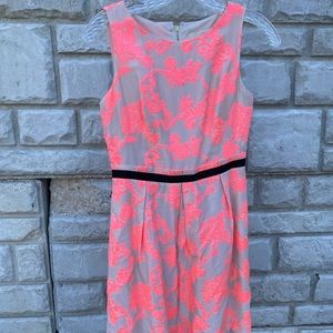 Loft Cream & Pink Dress